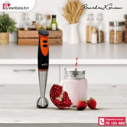 Mixeur Plongeant 300W -...