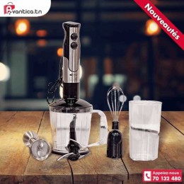 Florence Mixeur Plongeant...