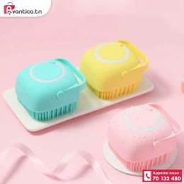 Brosse de douche lot 2