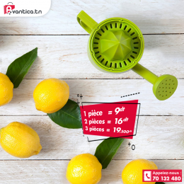 Lot 3 Presses agrumes