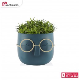 Pot visage artificiel