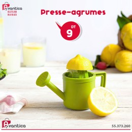 Presse-agrumes 2