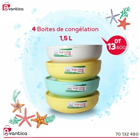 4 Boites de congélation 1.5 litres